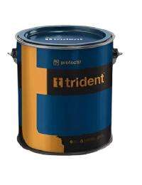 TRIDENT Epoxy Solvent Based Blue Epoxy Paints Gloss_0