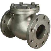 Yamac 10 inch Manual Cast Iron Check Valves Flanged_0