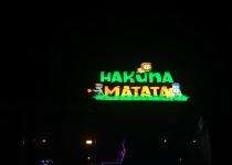 LED Signages 100 x 300 mm Aluminium_0