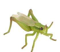 Groen AGS001 25 W Grasshopper IP65 Warm White FRP Garden Light_0