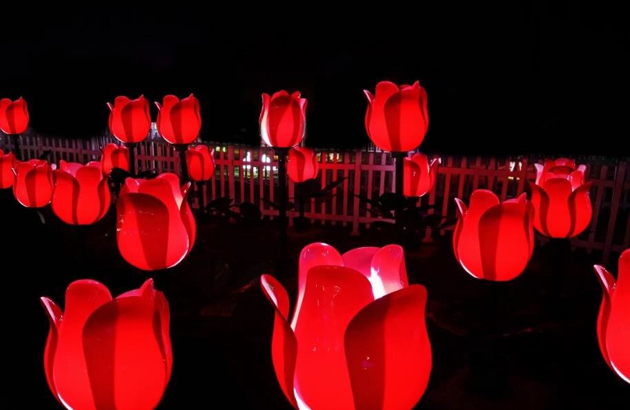 Groen ROS700 0.5 W Flower IP65 Warm White FRP Garden Light_1