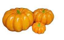 Groen PMPS3 30 W Pumpkin IP65 Warm White FRP Garden Light_0