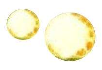 Groen BAL500 15 W Round IP65 Warm White FRP Garden Light_0