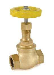 NETA 100 mm Union Bonnet Bronze Globe Valves Screwed Female_0