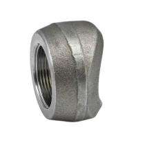 Evolve Stainless Steel Threadolets 4 inch_0