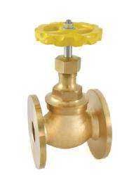NVR 20 mm Union Bonnet Bronze Globe Valves Flanged_0