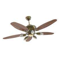 Goldmedal Daisy BLDC 1200 mm 5 Blades 40 W Antique Brass Dark Wood Ceiling Fans_0