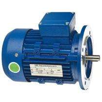 CG GF6941 1440 rpm Single Phase 1 hp Four Pole Flange Mounted AC Motors_0