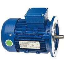 CG GF6942 1440 rpm Single Phase 3 hp Four Pole Flange Mounted AC Motors_0