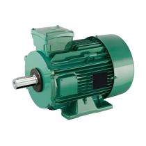 Pooja P-01 1200 rpm Single Phase 1 hp Double Pole Foot Mounted AC Motors_0
