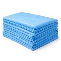 C-Cure 32 x 72 inch Single Bed Disposable Bed Sheet Non Woven DBS_0