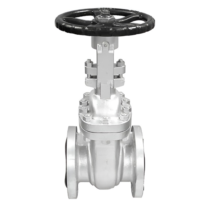 DRP Bronze Gate Valves 100 mm_0