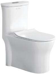 Parryware EWC with Seat Cover and Flush Millenia Floor_0