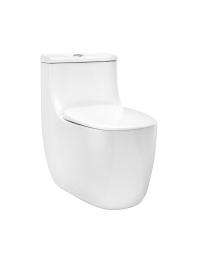 Parryware EWC with Seat Cover and Flush Calysta Floor_0