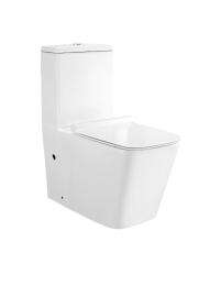 Parryware EWC with Seat Cover and Flush Quadra Floor_0