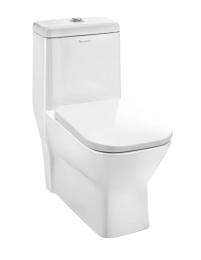 Parryware EWC with Seat Cover and Flush Aura Floor_0