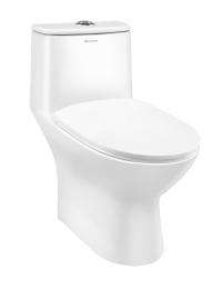 Parryware EWC with Seat Cover and Flush Brive Floor_0