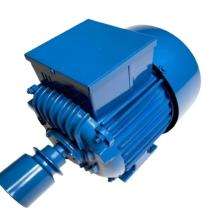 Pooja P-02 1200 rpm Single Phase 2 hp Double Pole Foot Mounted AC Motors_0