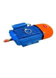 Pooja P-02 1200 rpm Single Phase 0.5 hp Double Pole Foot Mounted AC Motors_0