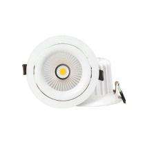 PHILIPS 30W Accent Spot 30 W LED COB Light 2250 Lumen Warm White_0