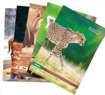 Kaanuka College Notebooks 21 x 29.7 cm_0