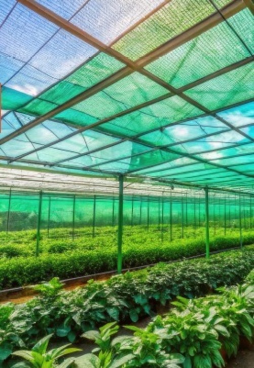 Shading 70 - 100 gsm Agricultural Shade Net Green_2