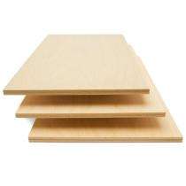 Century Ply 4 mm Waterproof Plywood 2440 x 1220 mm IS 5509_0