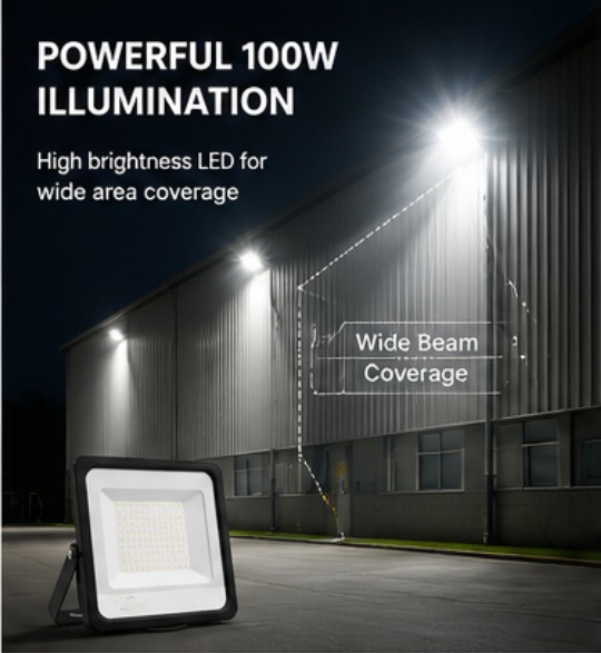 TechSphere Advances 100 W Cool White IP66 6 kV 10200 Lumen Rion 100 LED Flood Lights_3