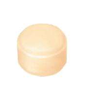 DUTRON 80 mm CPVC Pipe Fitting End Cap_0