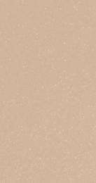 Aica 1 mm Beige Laminate Glossy 2440 x 915 mm Fire Retardant_0