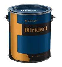 TRIDENT Solvent Based Black Synthetic Enamel Paints 1 L_0