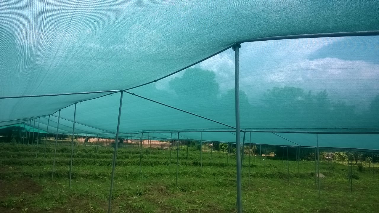 TUFLEX INDIA HDPE 90% Agricultural Shade Net Green_2