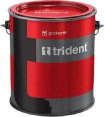 TRIDENT Solvent Based 1 L Acrylic Paint_0