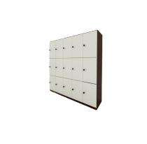 Shaaspace Storage Lockers Office CRCA Steel_0