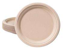 Bagasse Disposable Plates 10 inch Brown_0