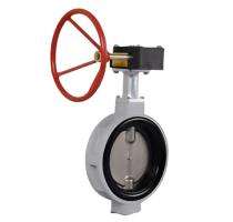 Sant 100 mm Manual Steel Butterfly Valve RIBV-150_0