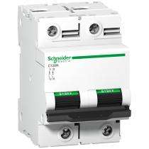 Schneider Electric A9N18363 Double Pole 125 A C MCB_0
