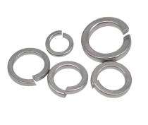 MNIS 12 mm Spring Washers Stainless Steel ISO 9001_0
