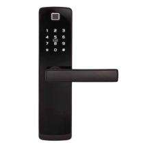 Stainless Steel Combination Door Locks Catus_0