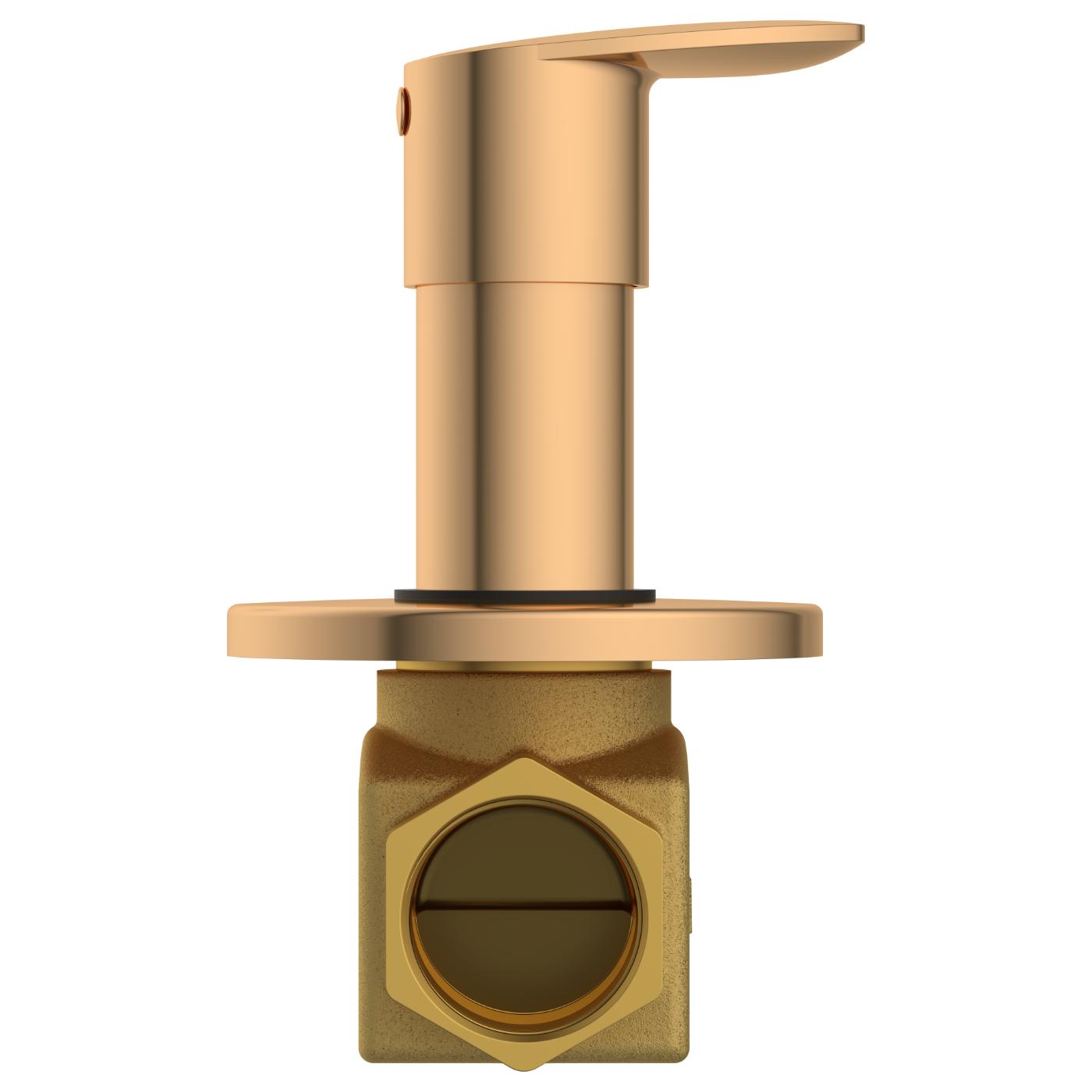 ARBO Chrome Plated Flush Valve Faucet KA-RG-3125_2