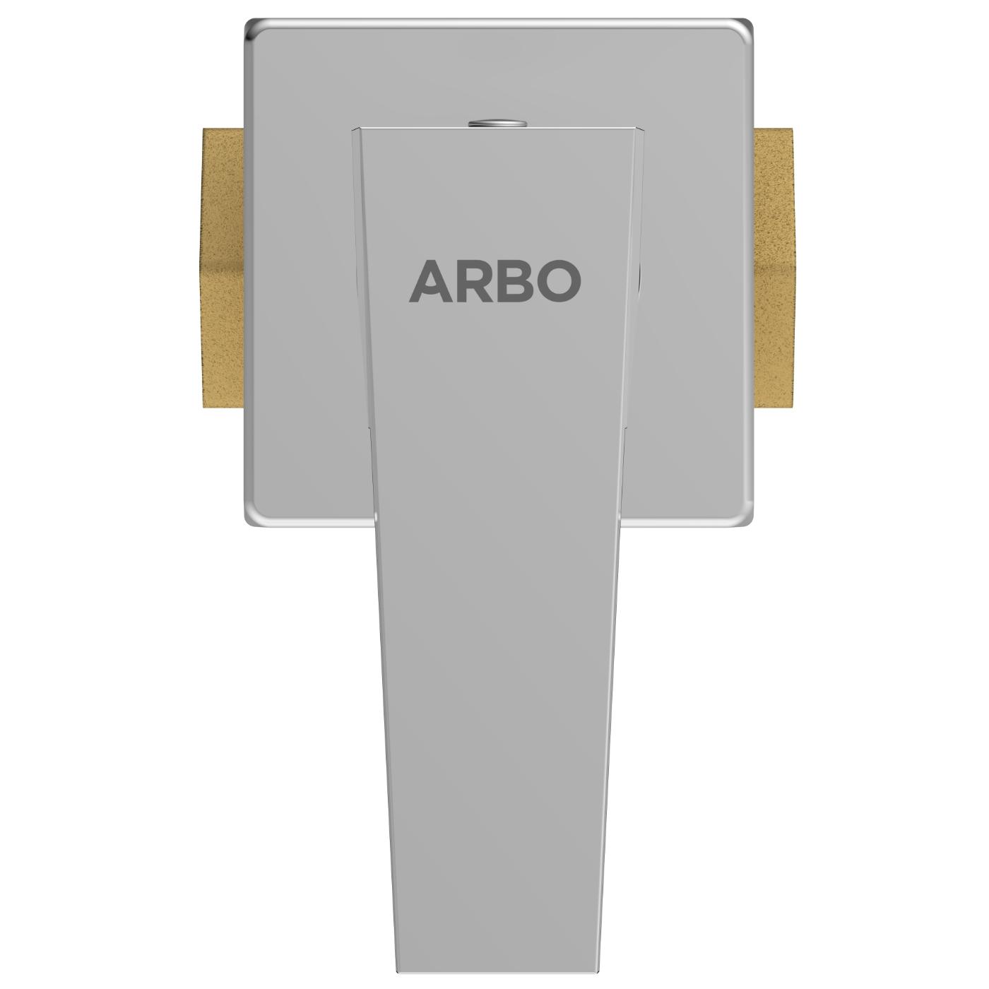 ARBO Chrome Plated Flush Valve Faucet LV-2025_3