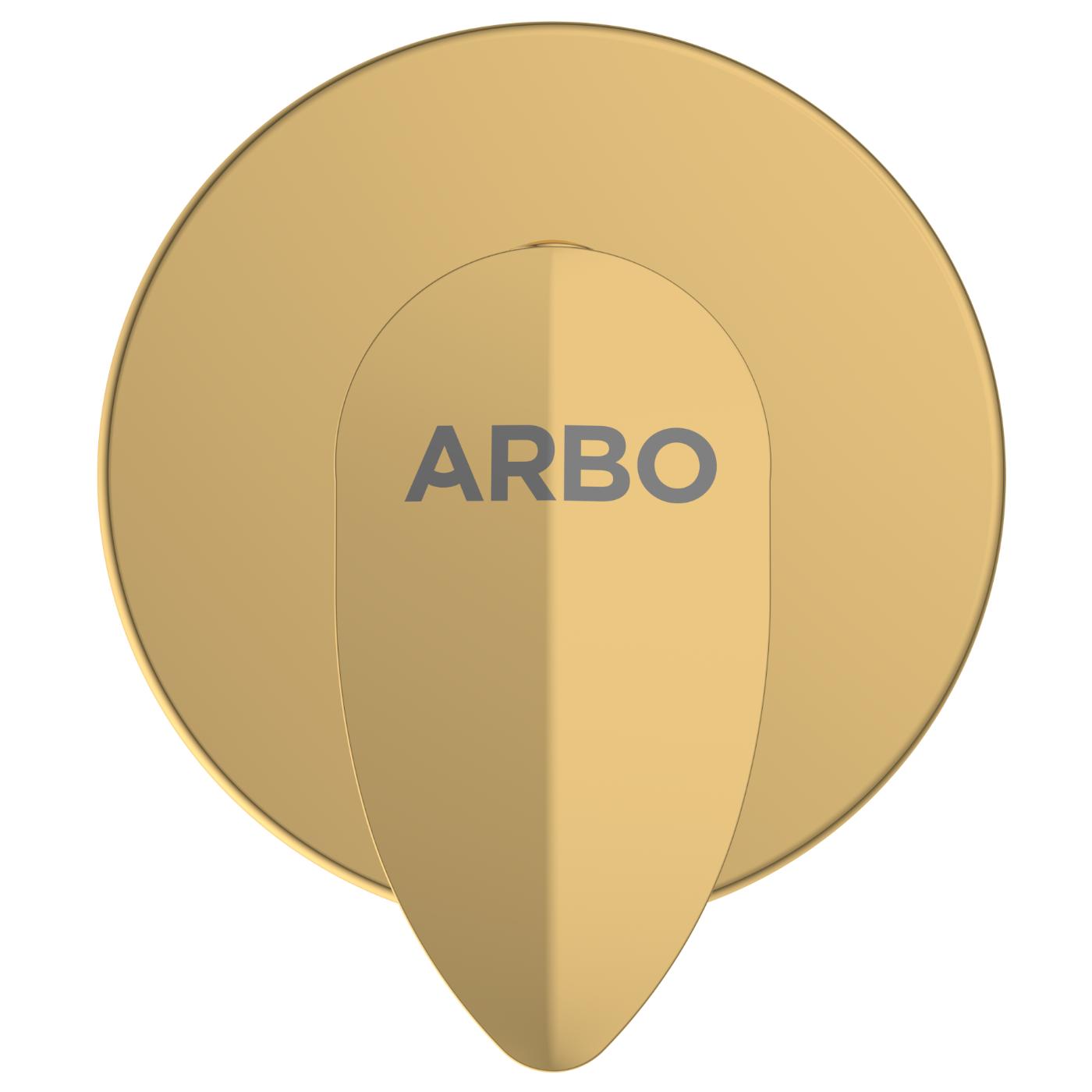 ARBO Chrome Plated Concealed Valve Faucet KA-GG-3123_2