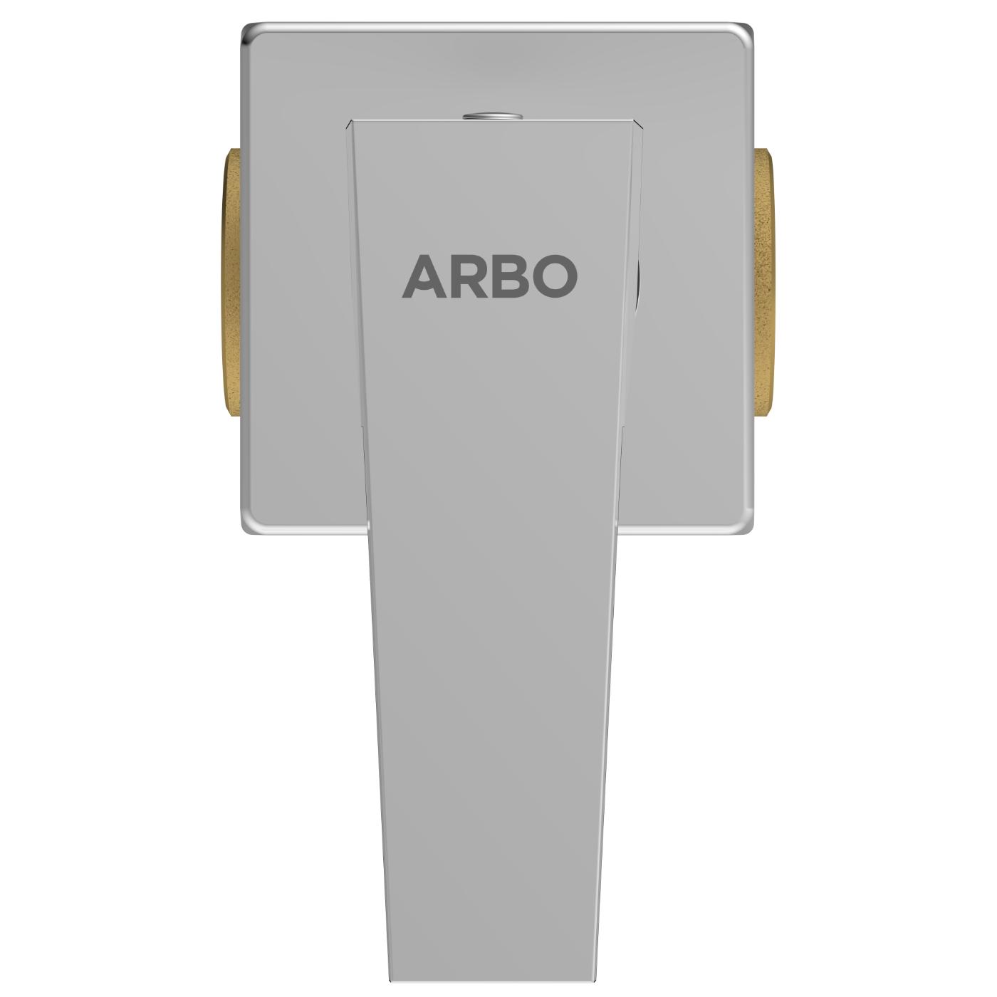 ARBO Chrome Plated Concealed Valve Faucet LV-2023_2