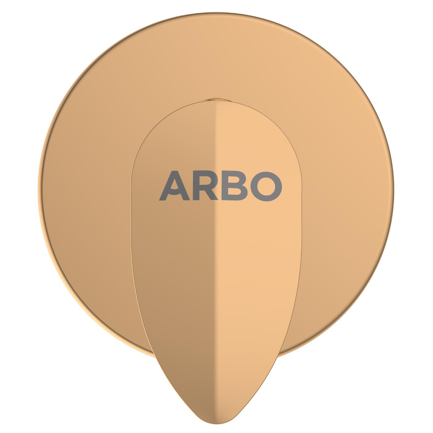 ARBO Chrome Plated Concealed Valve Faucet KA-RG-3123_2