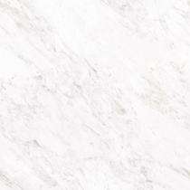 Solizo Zoya White 600 x 600 mm White Glossy Vitrified Tile_0