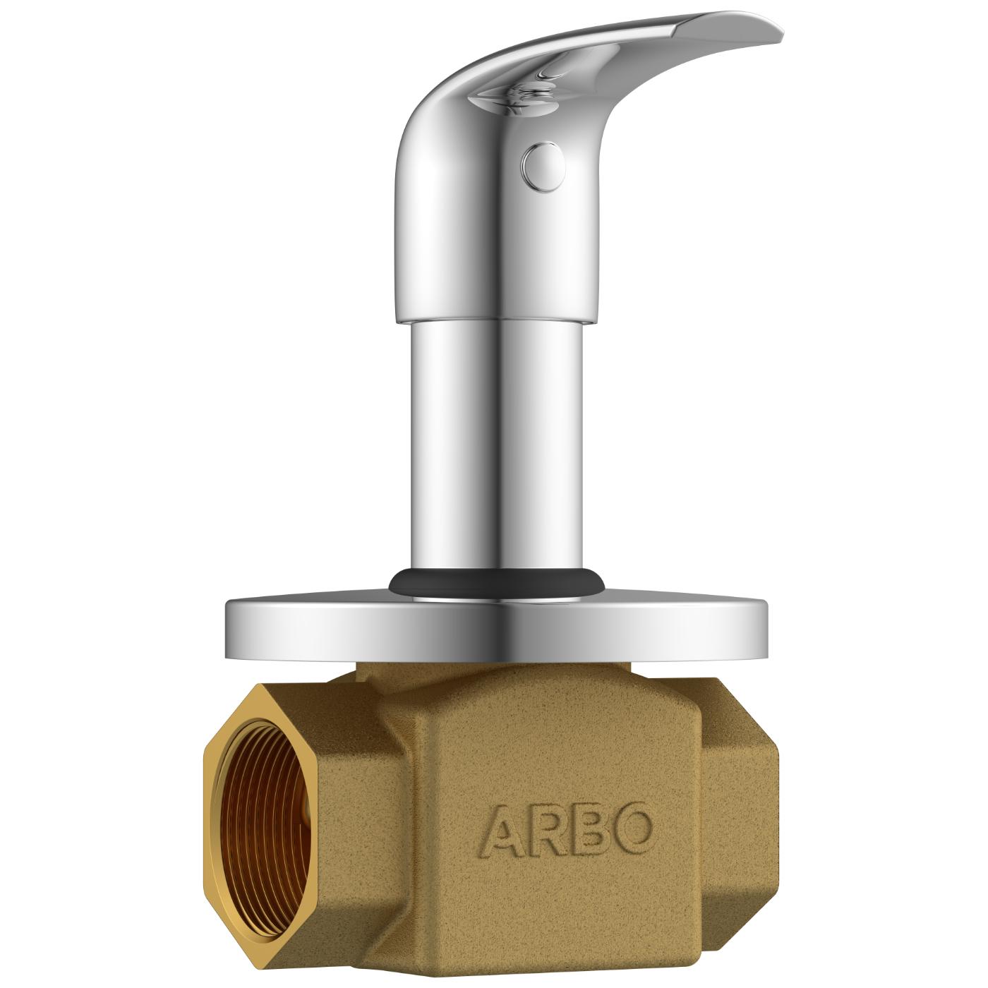 ARBO Chrome Plated Flush Valve Faucet CM-2525_1