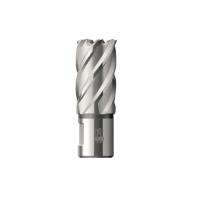BDS 22 mm Core Cutters KBK 020 Weldon Shank 30 mm_0