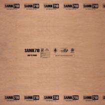 CENTURYPLY 9 mm Waterproof Plywood 2440 x 1220 mm IS 303_0