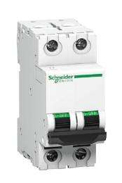 Schneider Electric A9N61520 Double Pole 0.5 A C Curve MCB_0