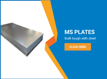 MS Plates